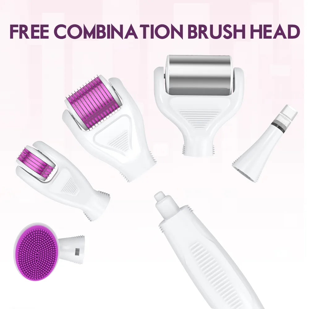 DRS 6 in 1 Ice Derma Roller Kit