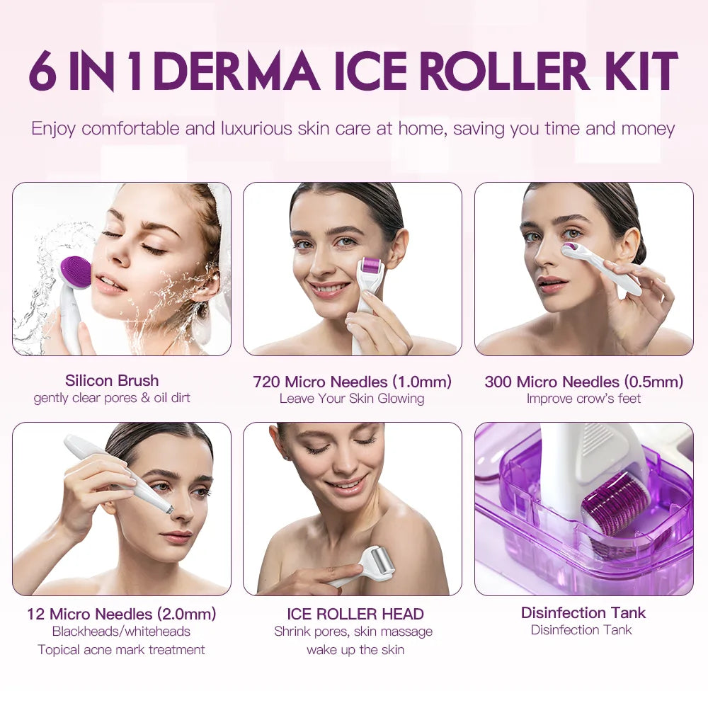 DRS 6 in 1 Ice Derma Roller Kit