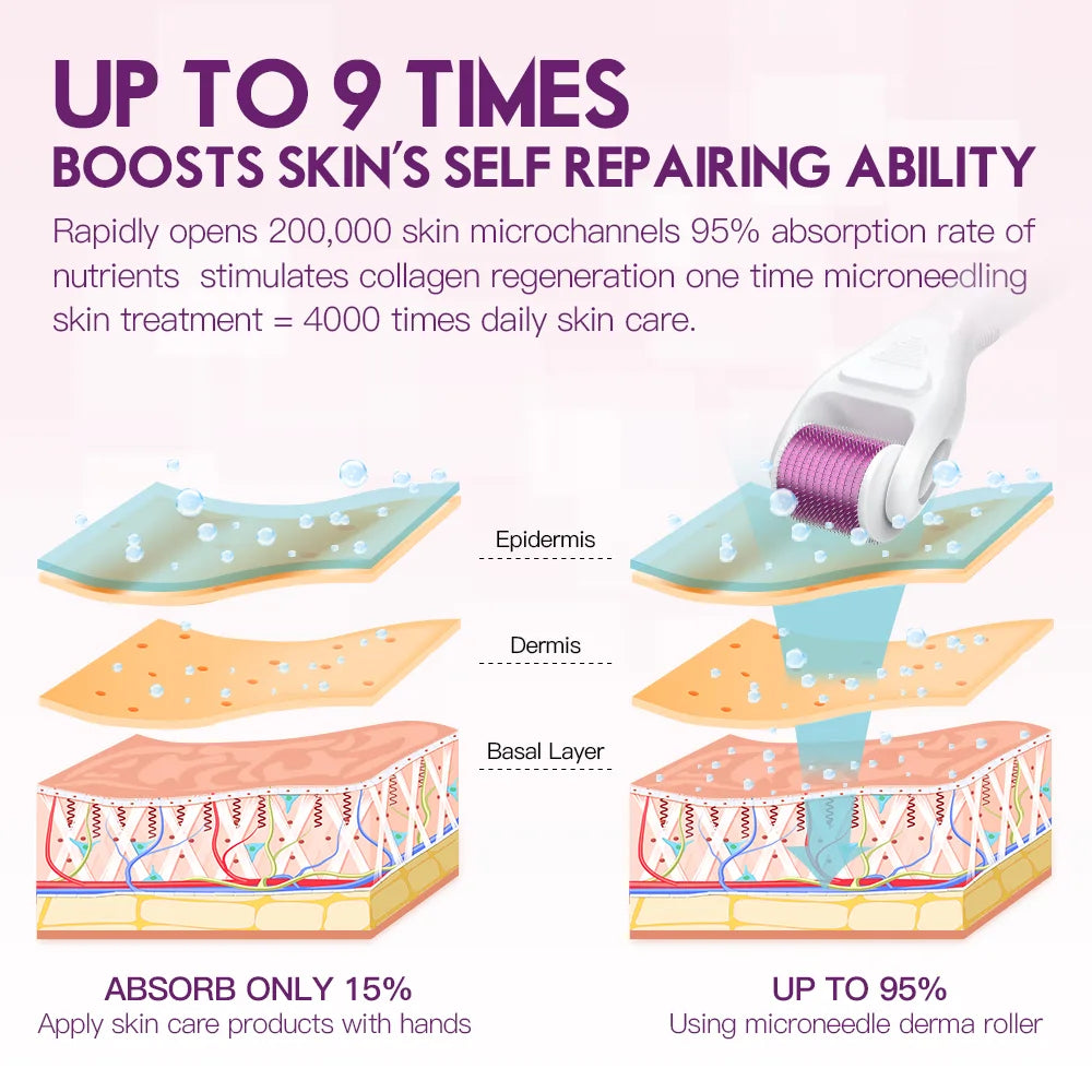 DRS 6 in 1 Ice Derma Roller Kit