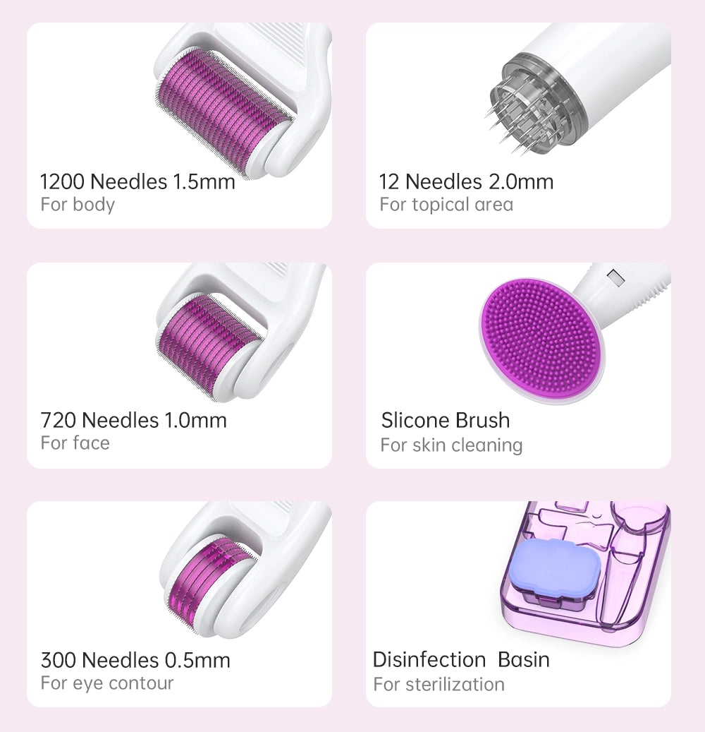 DRS 6 in 1 Derma Roller Kit