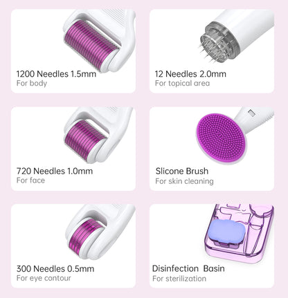 DRS 6 in 1 Derma Roller Kit