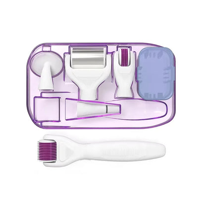 DRS 6 in 1 Ice Derma Roller Kit