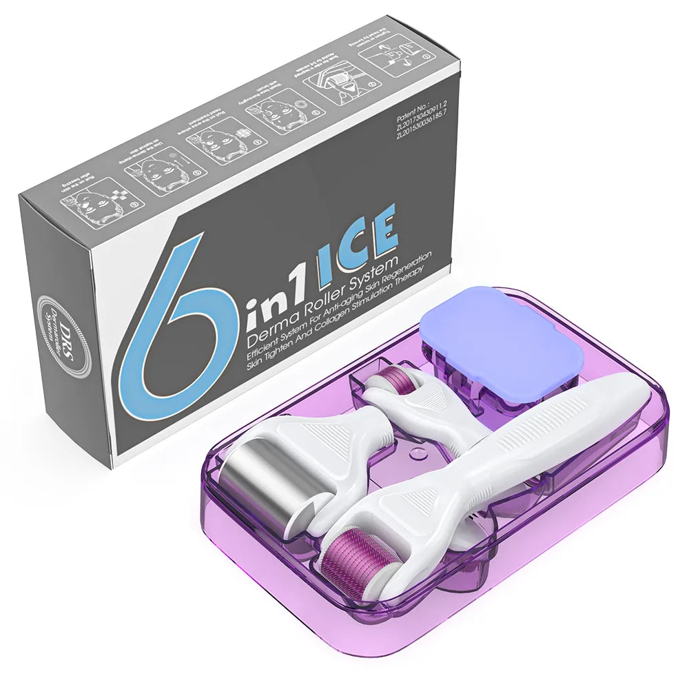 DRS 6 in 1 Ice Derma Roller Kit